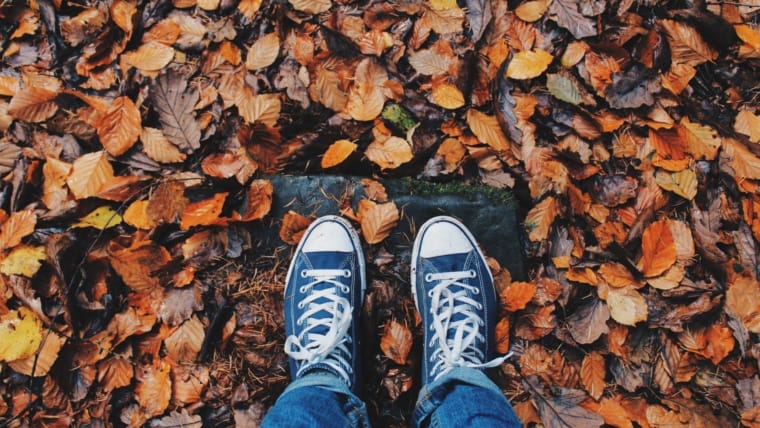 5 Great Ways to Celebrate Fall in Muskoka