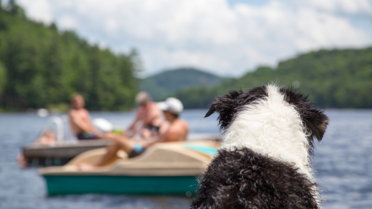 Cottage Budgeting 101 – Additional Expenses