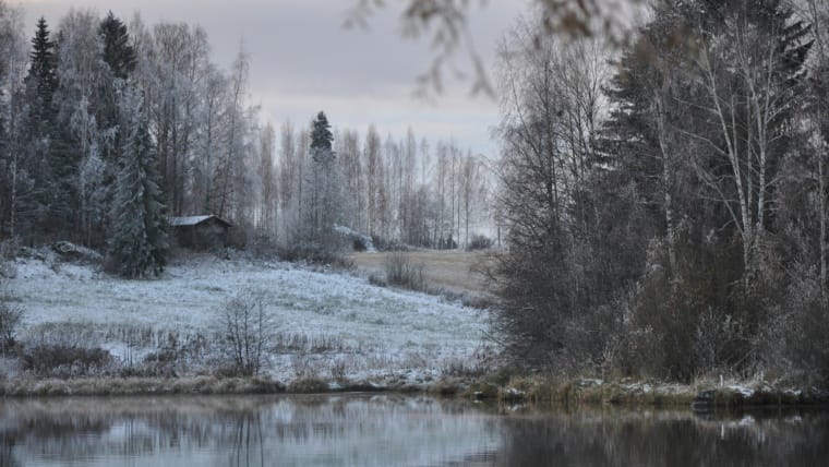 Winter Tech Tips to Protect Your Muskoka Cottage